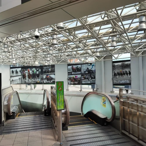 阪急仁川駅から阪神競馬場へのエスカーター