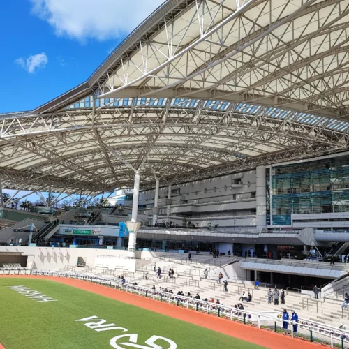 阪神競馬場・パドック