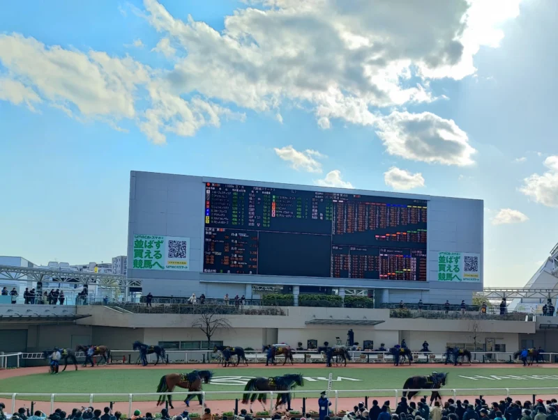 阪神競馬場・パドックの馬の様子