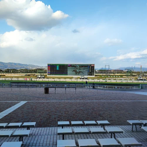 阪神競馬場・観戦席
