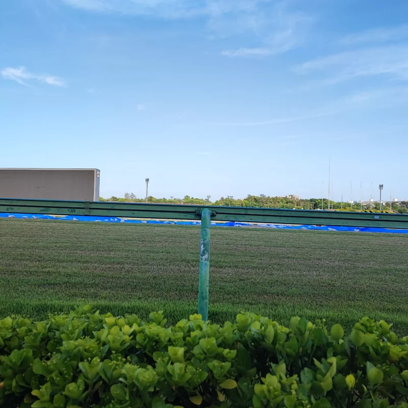 パークウインズ中山競馬場・馬のいないコースの様子