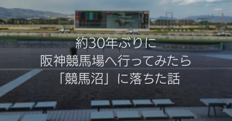 約30年ぶりに阪神競馬場へ行ってみたら「競馬沼」に落ちた話【2024年の記録と2026年の今】